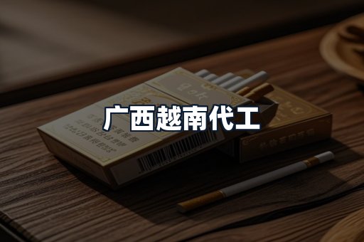 广西越南代工